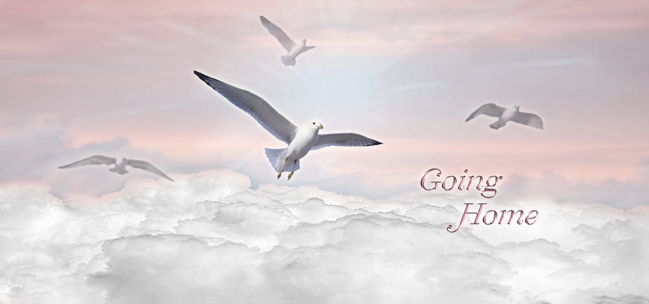 P 102 PK Going Home Clouds Birds Pink